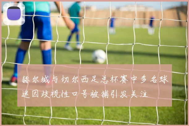 赫尔城与切尔西足总杯赛中多名球迷因歧视性口号被捕引发关注