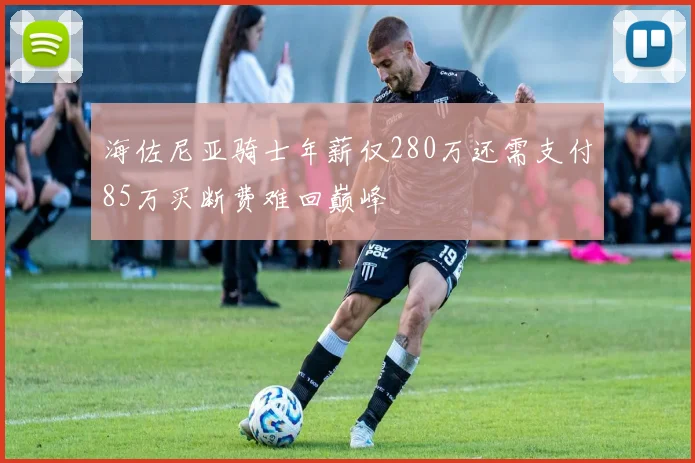 海佐尼亚骑士年薪仅280万还需支付85万买断费难回巅峰