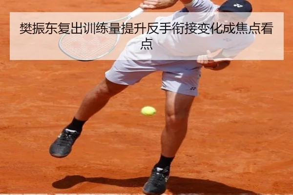 樊振东复出训练量提升反手衔接变化成焦点看点